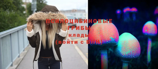 тгк Арсеньев