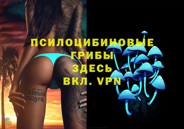 твердый Армянск